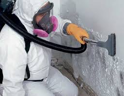 Best HVAC Mold Inspection and Cleaning  in Keego Harbor, MI